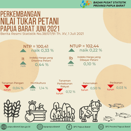 Nilai Tukar Petani Papua Barat Juni 2021 Sebesar 100,41. Inflasi Perdesaan Papua Barat Juni 2021 Sebesar 0,08 Persen.