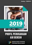 Profil Perusahaan Air Bersih Provinsi Papua Barat 2019