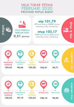 NTP Papua Barat Februari 2020 Sebesar 101,79 Persen