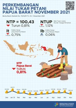 Perkembangan Nilai Tukar Petani Provinsi Papua Barat November 2021