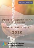 Profil Perusahaan Air Bersih Provinsi Papua Barat 2020