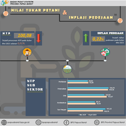 NTP Papua Barat Mei 2021 Sebesar 100,08 Persen. Inflasi Perdesaan Papua Barat Mei 2021 Sebesar 0,22 Persen.